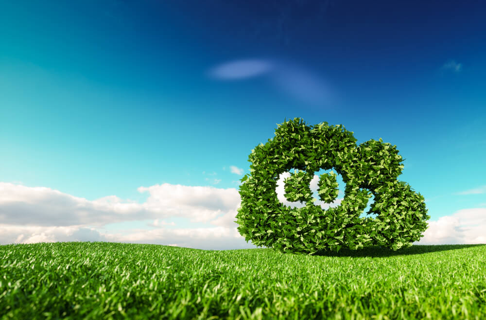 E-commerce consciente: 8 vantagens de investir em entregas carbono neutro